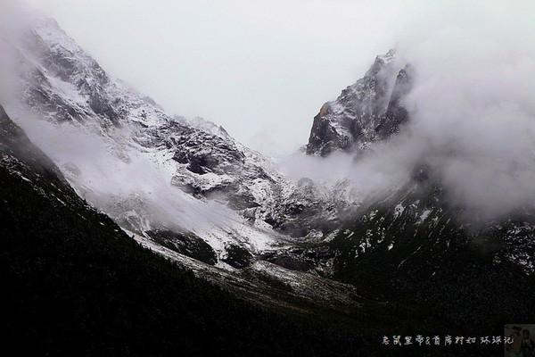 少年歌行:无双霸气救师,金线蛇已抓,导演用意明显,却惨遭群嘲