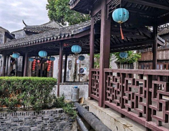 植物大战僵尸20